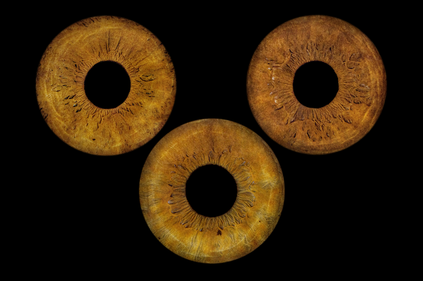 Three Eye Iris photo