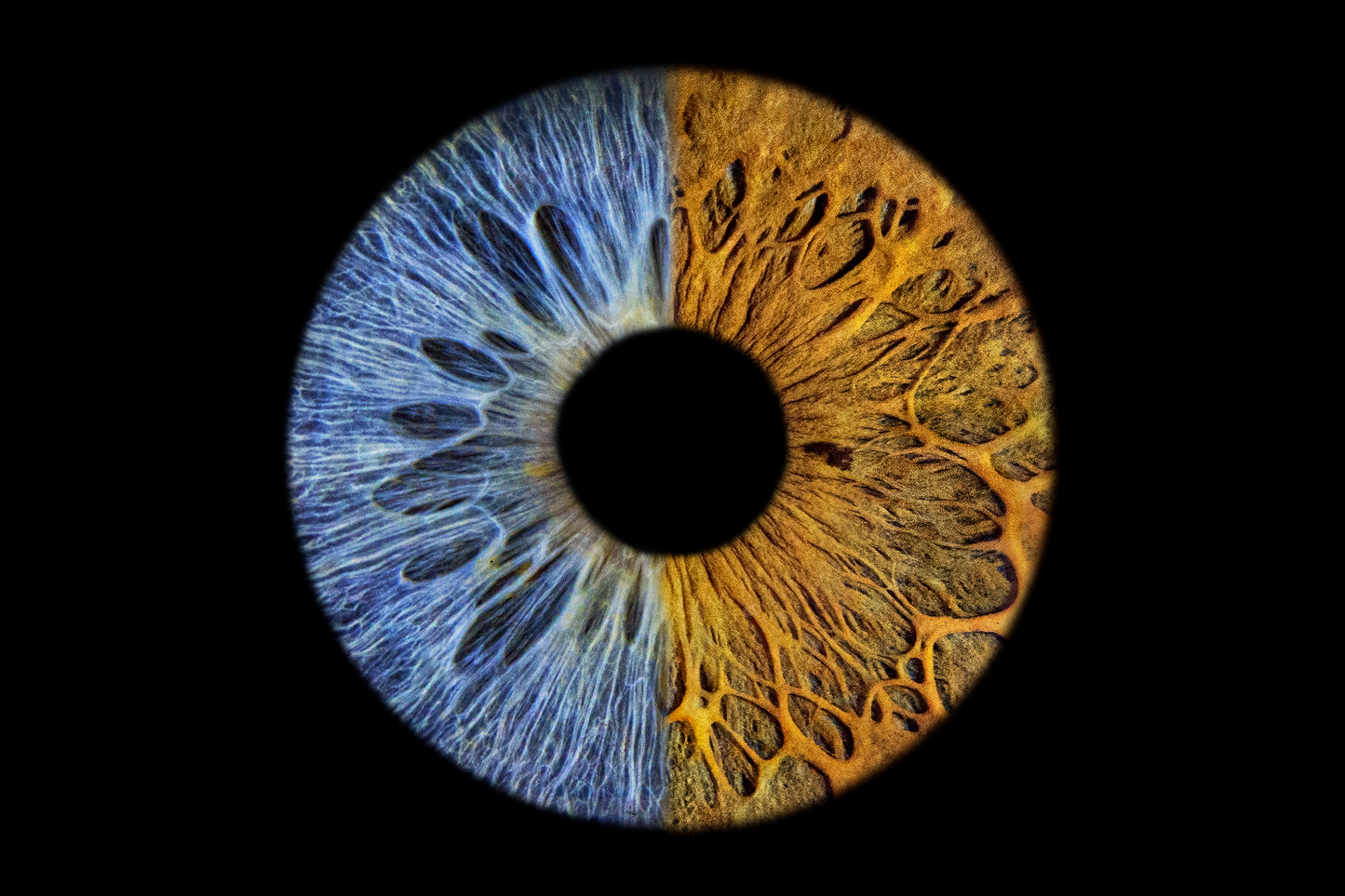 Couple Iris Photos