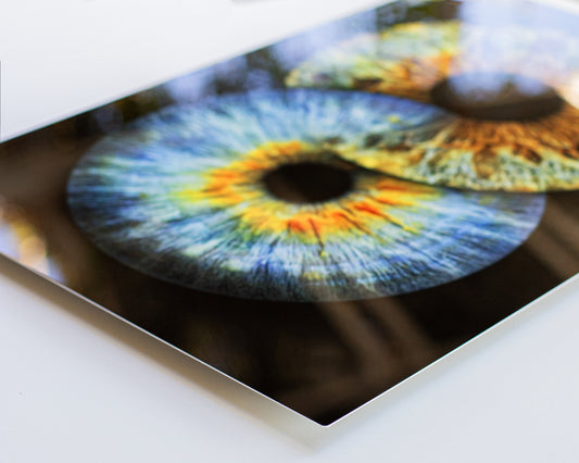 Iris Metal Print