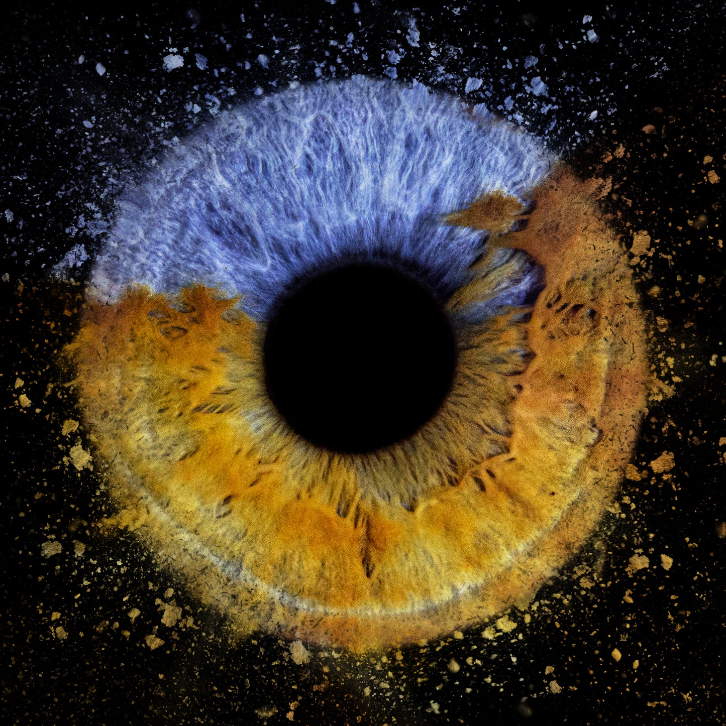 Eye Iris Single Collision Photo