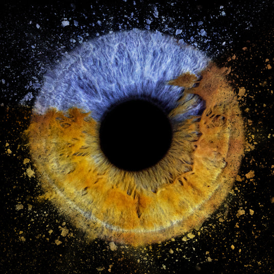 Eye Iris Single Collision Photo