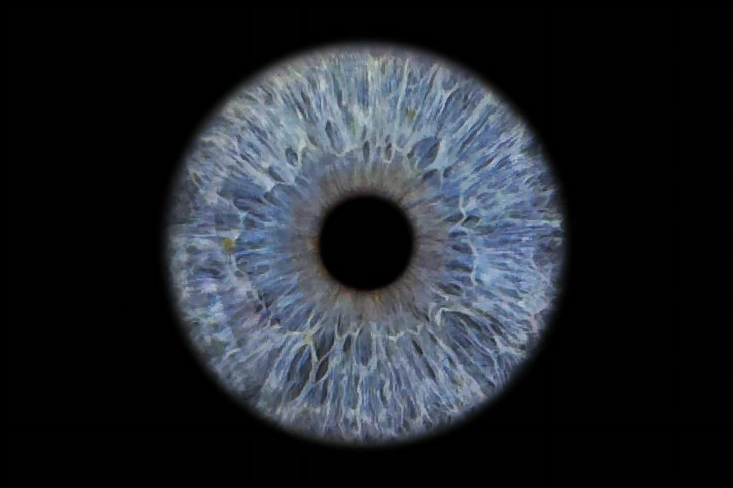 Selfie Iris Photo