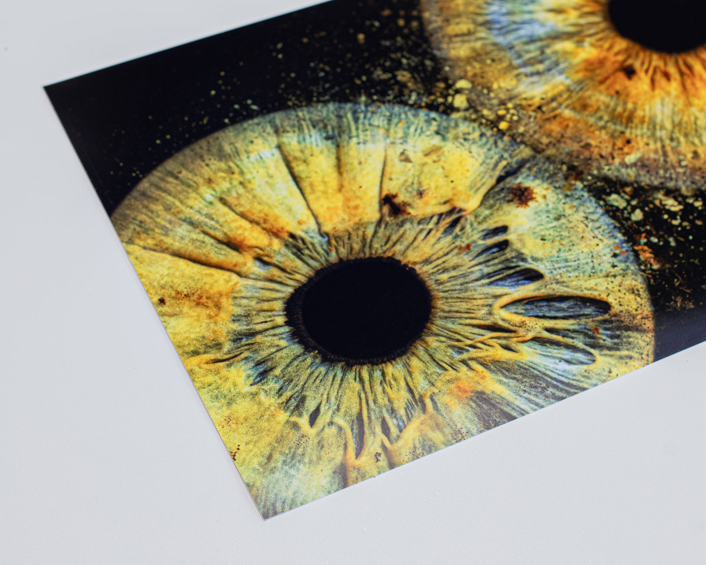 Iris Photo Paper Print