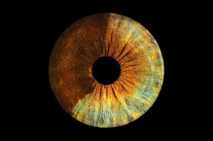 Digital Iris Photo $20 Promo