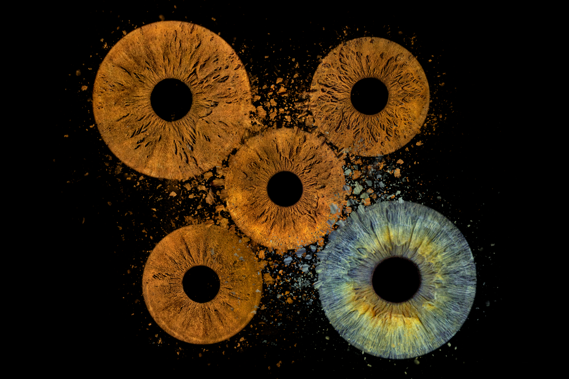 Five Eye Iris Photo – COSMIC EYE Iris Photo