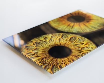 Couple Iris Photo + Acrylic Print Bundle
