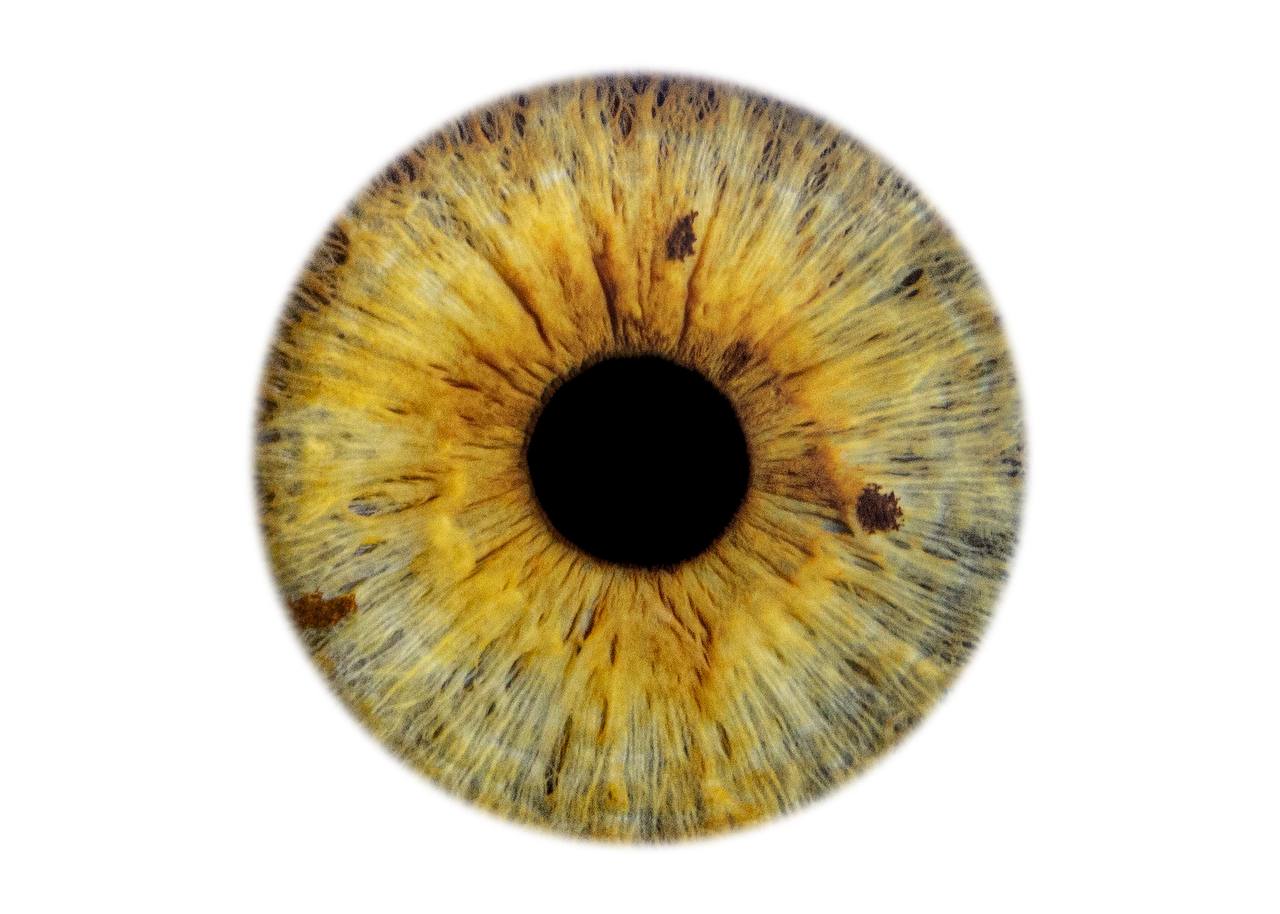 Unique Iris Artwork – COSMIC EYE Iris Photo