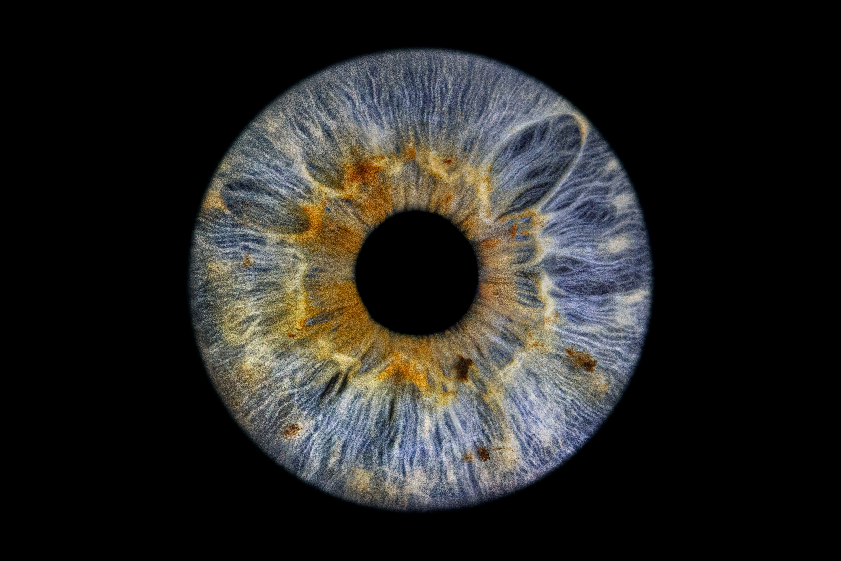 Unique Iris Artwork – Cosmic Eye US